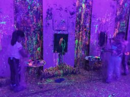 2025-10-30 Motylki w Pigcasso